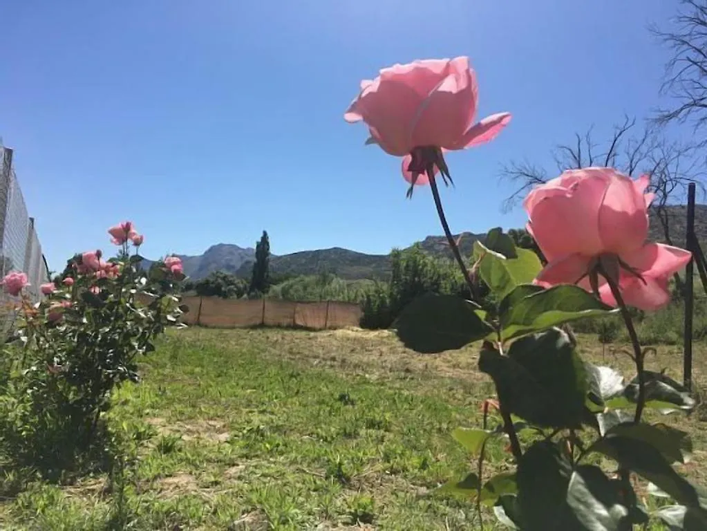 Casa Rural La Maestra Ronda Сasa de vacaciones